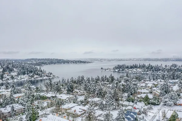高清摄影 白天绿树覆盖在积雪的地面上