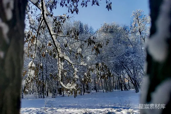 高清摄影 背景是被雪覆盖的田野。