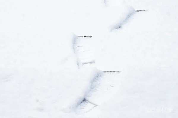 高清摄影 白天覆盖着白雪的田野