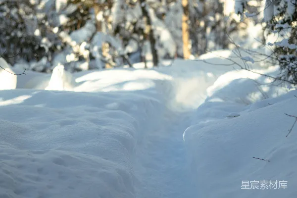 高清摄影 滑雪者在覆盖着白雪的斜坡上滑下