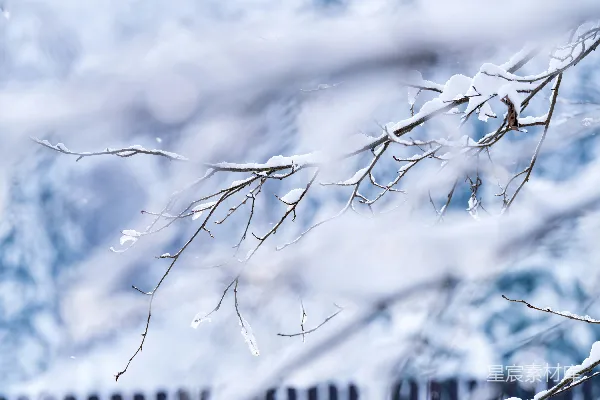 高清摄影 雪地里的钢琴旁有一棵树。