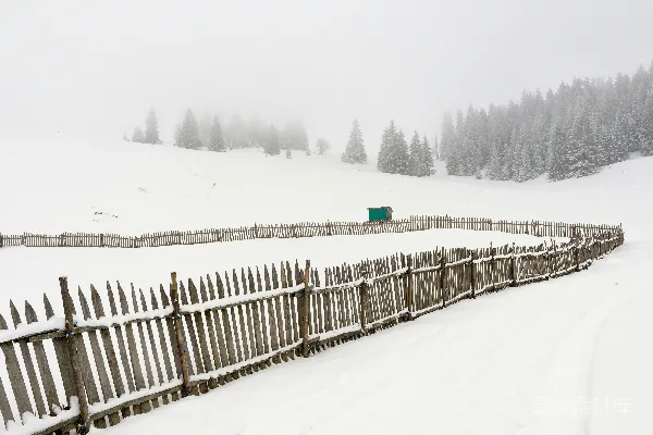 高清摄影 滑雪者在雪地上滑行