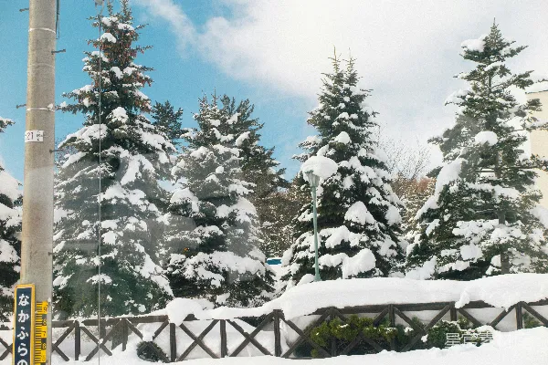 高清摄影 覆盖着白雪的街道，树木和栅栏环绕之中。