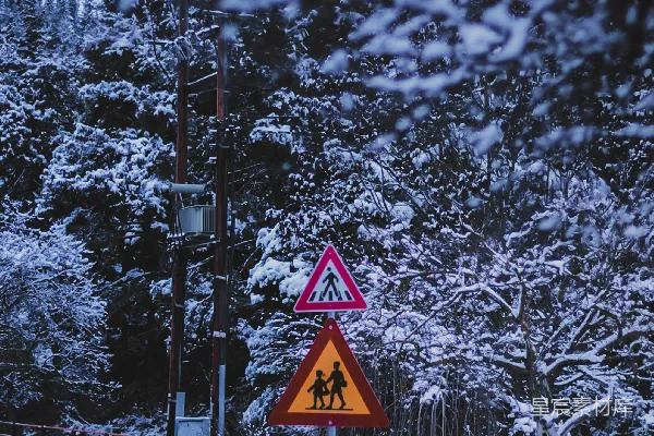 高清摄影 雪地中近处树木旁的黑黄相间交通标志