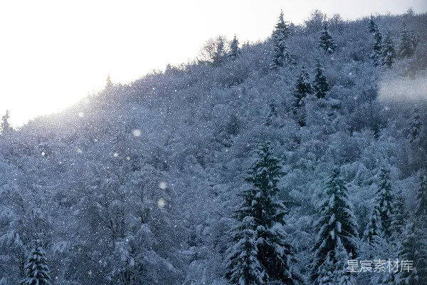 高清摄影 滑雪者正在雪坡下滑。