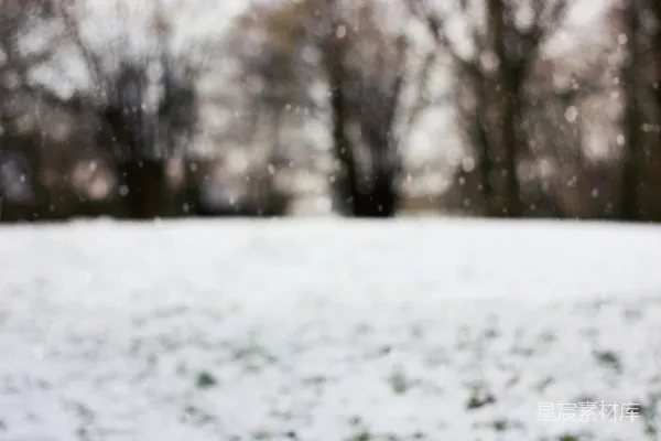 高清摄影 背景中有树木的雪地	field 上有背景中的树木和一片白雪