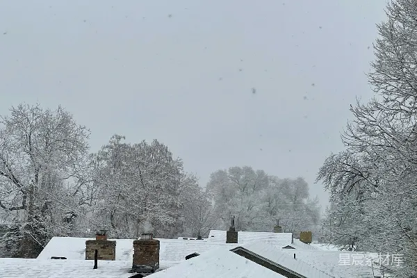 高清摄影 覆盖着积雪的屋顶，背景是树木。