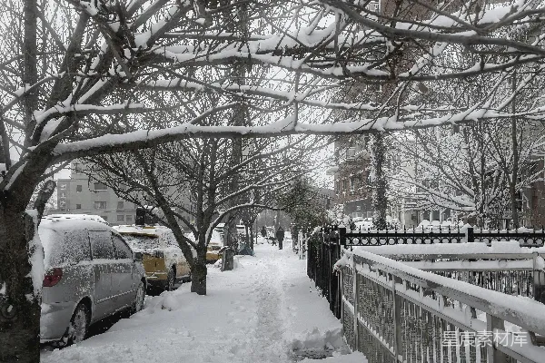 高清摄影 皑雪覆盖着裸露的树木和栅栏