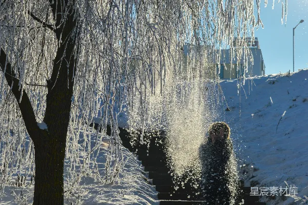 高清摄影 两侧栽有树木的雪地楼梯