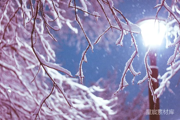高清摄影 街边覆盖着白雪的路灯旁边有一棵树