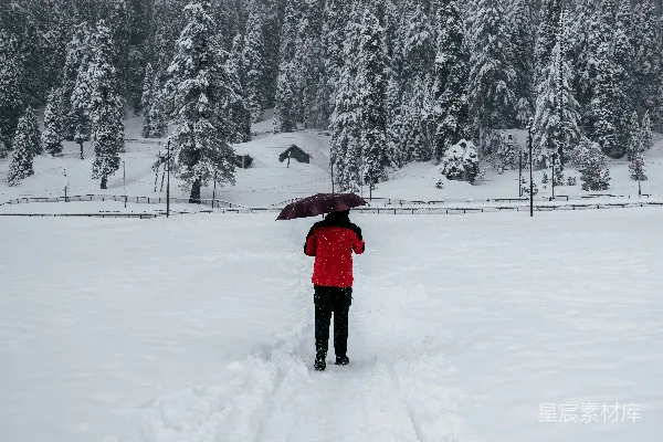 高清摄影 一个手持伞在雪中的人