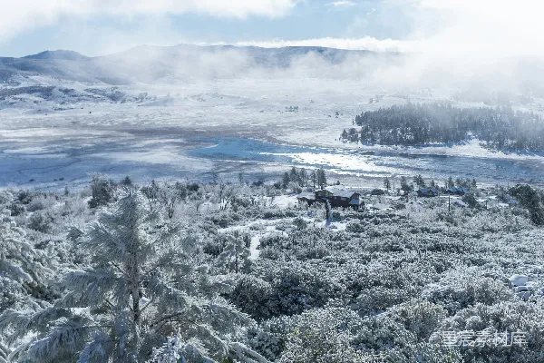 高清摄影 白天雪覆盖树木的 aerial 拍摄