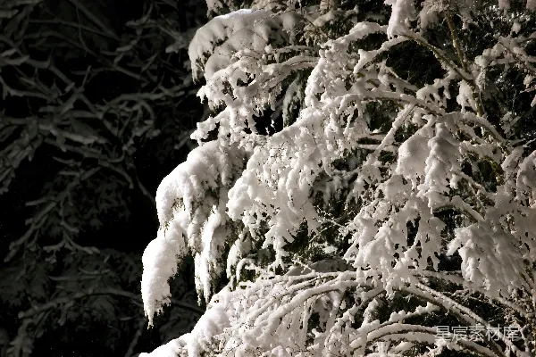 高清摄影 滑雪者正在一条雪地里的山坡下滑。