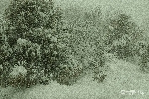 高清摄影 背景中有树的覆雪小路
