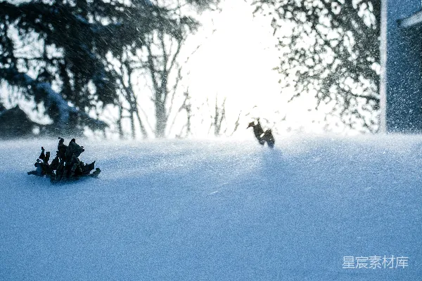 高清摄影 黑色夹克的人在覆有积雪的地面上行走，白天。
