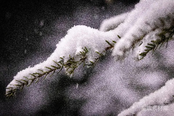 高清摄影 棕色木棍上的白雪