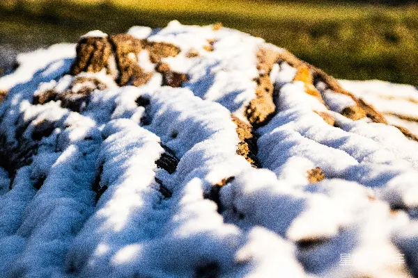 高清摄影 一堆雪坐在木凳上