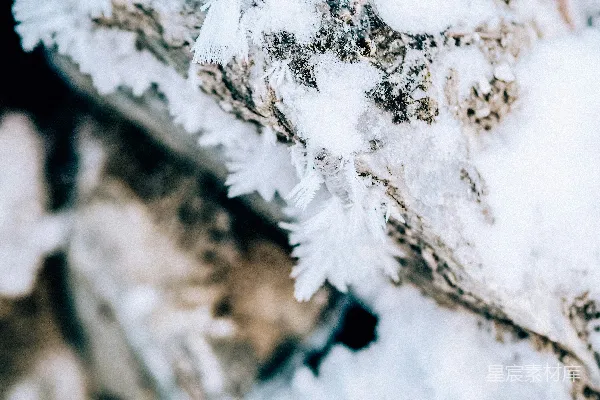 高清摄影 岩石上的特写雪景