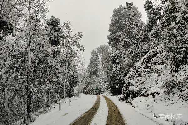 高清摄影 路边覆有白雪的道路