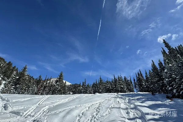 高清摄影 背景中有树的雪覆盖了滑雪斜坡。