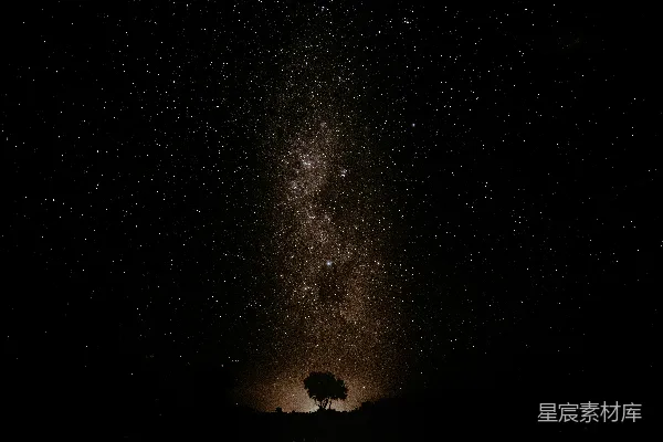 高清摄影 夜空满是星辰，一棵孤树。