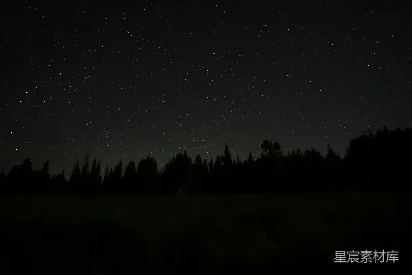 高清摄影 夜空布满了星星和树木