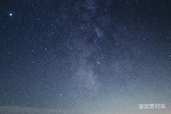 高清摄影 夜空下树的轮廓