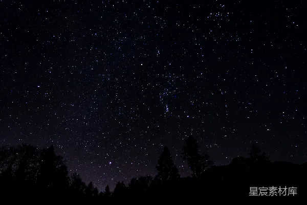 高清摄影 夜空被星星和树木填满。