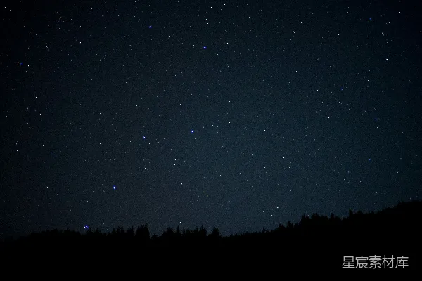 高清摄影 夜空繁星点点，树木在深蓝的天空中形成剪影。