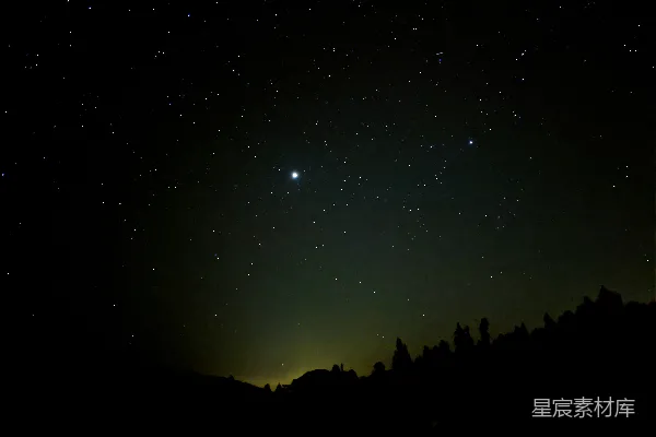 高清摄影 夜空满天星斗，前景是树木。