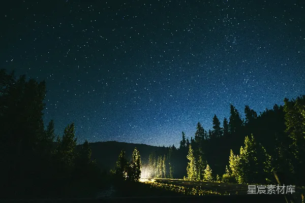 高清摄影 夜空繁星点点，前景是树木。