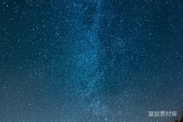 高清摄影 星夜下树的轮廓
