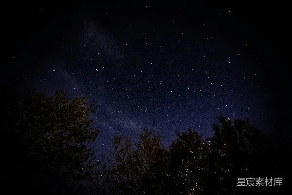 高清摄影 夜间绿树蓝天下
