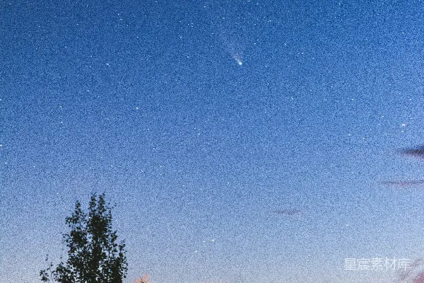 高清摄影 夜空繁星点点，一望无际的草场之上。