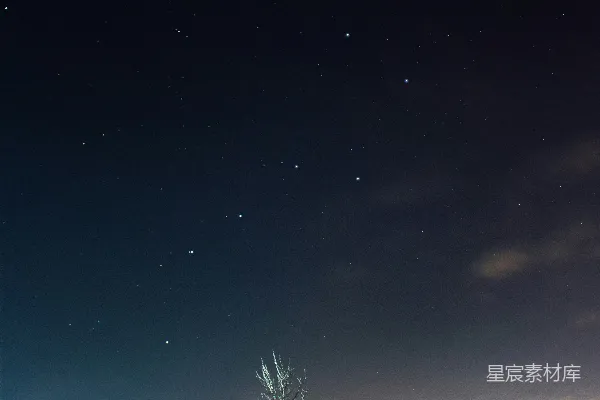 高清摄影 绿树丛生于棕土地上，夜空之下蓝天之中