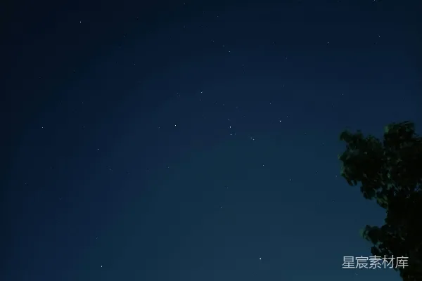 高清摄影 夜空中的星星和一棵树
