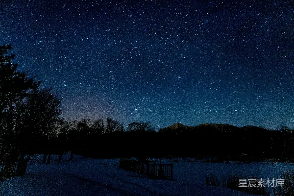 高清摄影 夜晚树木和山的轮廓图象