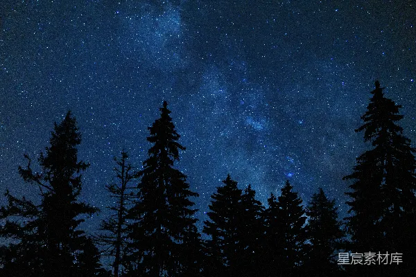 高清摄影 夜空被星星和树木填满