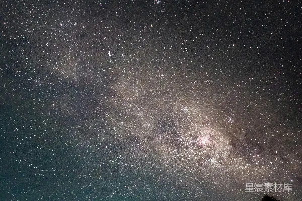 高清摄影 夜空被星辰和树木填满