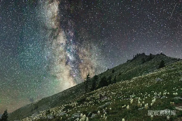 高清摄影 星夜下绿草萋萋的田野
