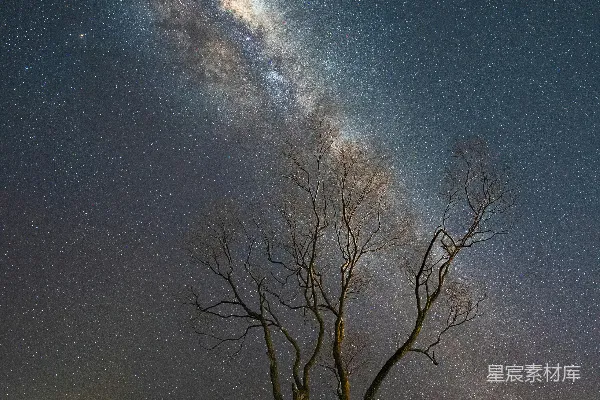 高清摄影 银河在一座孤树之上夜空中的景象