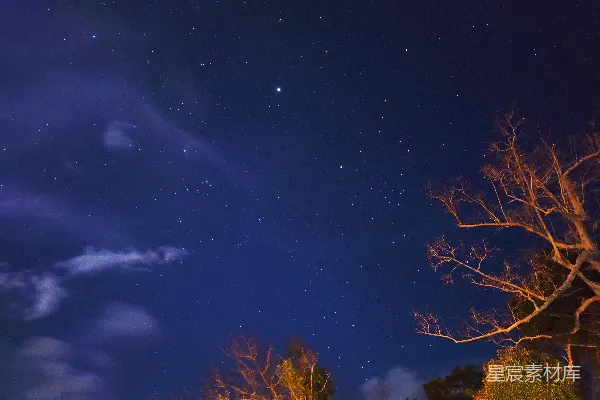 高清摄影 夜空中繁星下的棕榈树