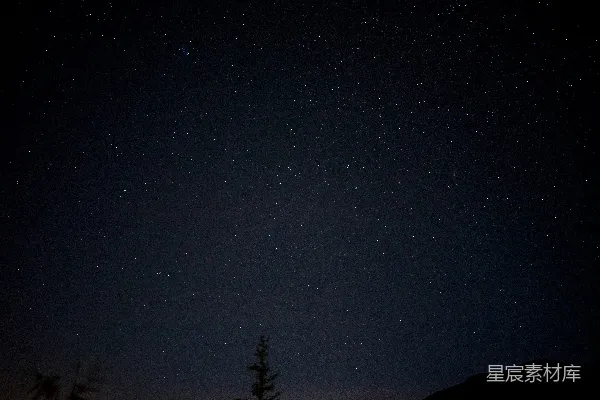 高清摄影 满天星辰与一棵树的夜空