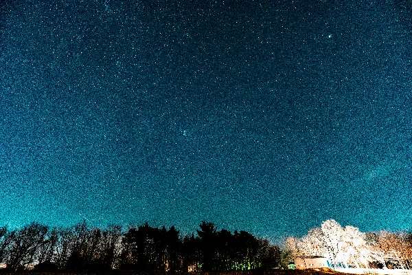 高清摄影 夜幕下绿树蓝天