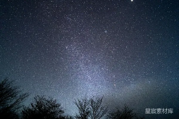 高清摄影 夜空繁星点点，前景是树木