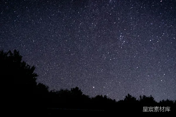 高清摄影 星夜下树木的轮廓