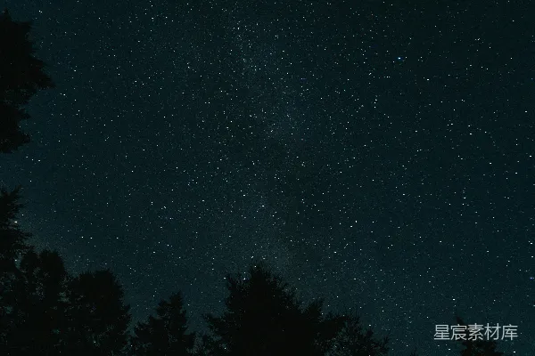 高清摄影 满天星斗的夜空与树木