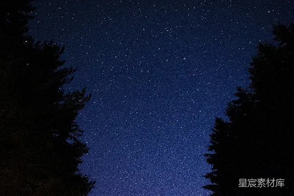 高清摄影 夜幕下的绿树蓝天