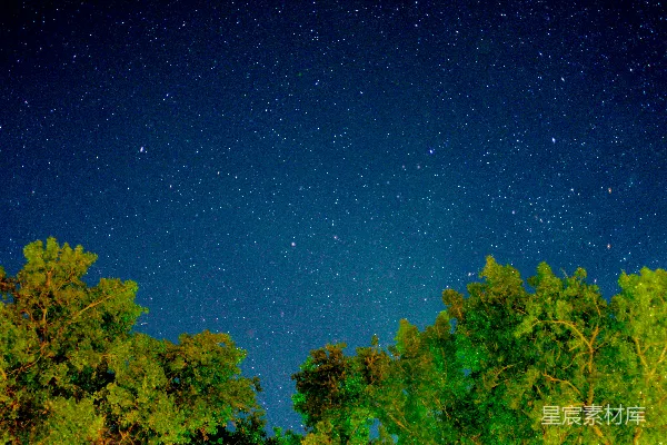 高清摄影 夜空布满了星星和树木