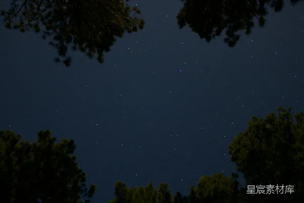 高清摄影 夜幕下的绿树蓝天
